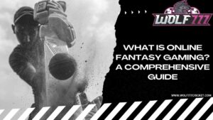 Read more about the article What is Online Fantasy Gaming? A Comprehensive Guide